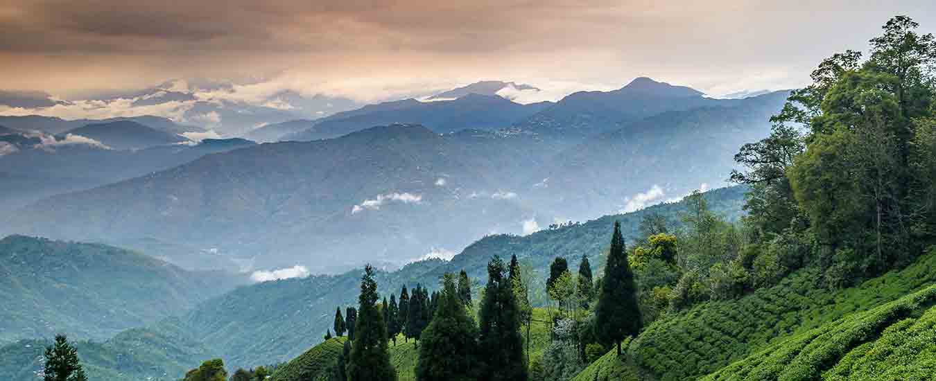 Summit Barsana Resort and Spa in Kalimpong, Sikkim